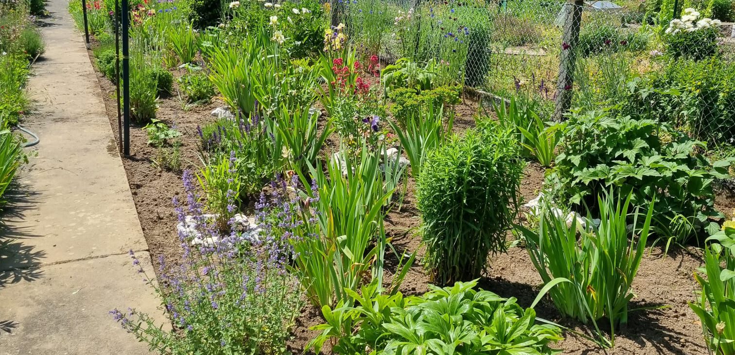 Ihr Garten ist unsere Leinwand. 